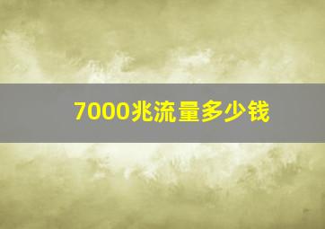 7000兆流量多少钱