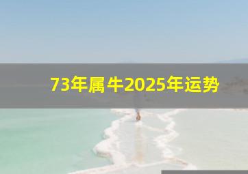 73年属牛2025年运势