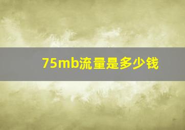 75mb流量是多少钱