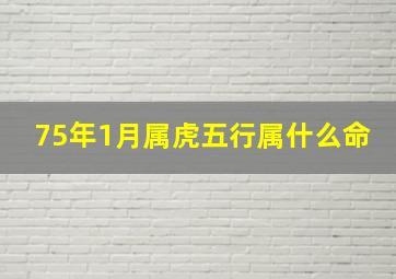 75年1月属虎五行属什么命