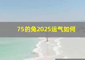 75的兔2025运气如何