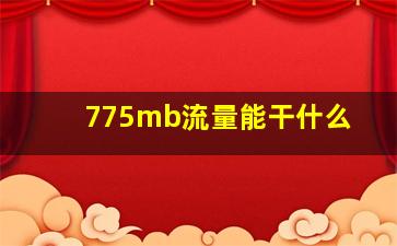 775mb流量能干什么