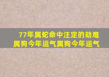 77年属蛇命中注定的劫难属狗今年运气属狗今年运气