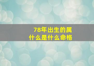 78年出生的属什么是什么命格