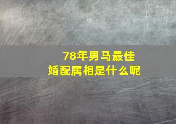 78年男马最佳婚配属相是什么呢