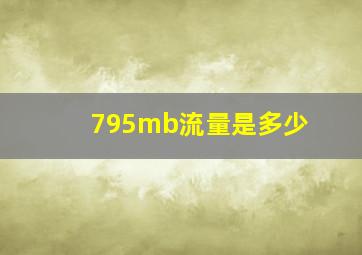 795mb流量是多少