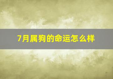 7月属狗的命运怎么样