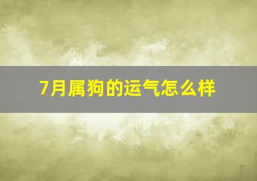 7月属狗的运气怎么样