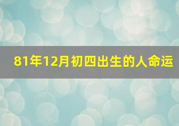 81年12月初四出生的人命运