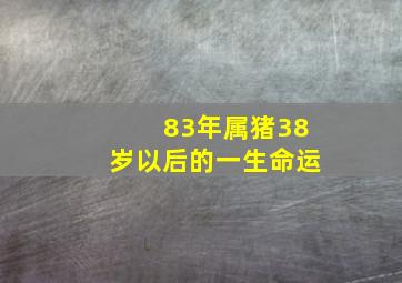 83年属猪38岁以后的一生命运