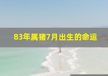 83年属猪7月出生的命运