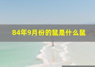 84年9月份的鼠是什么鼠