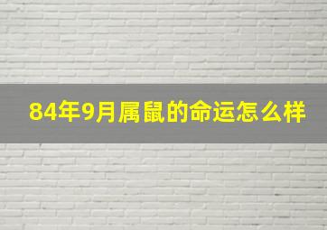 84年9月属鼠的命运怎么样