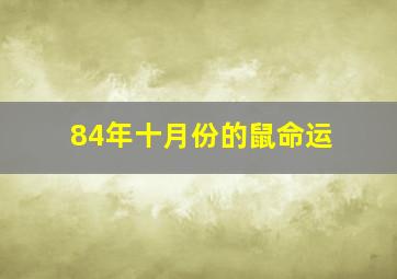 84年十月份的鼠命运