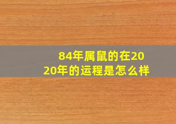 84年属鼠的在2020年的运程是怎么样