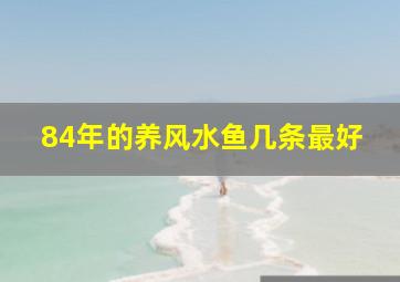 84年的养风水鱼几条最好