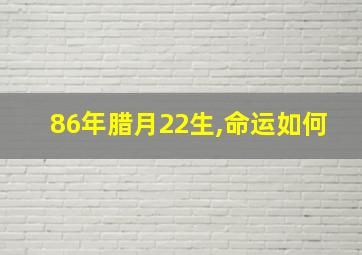 86年腊月22生,命运如何