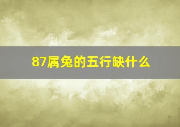 87属兔的五行缺什么