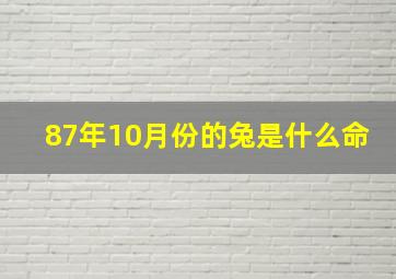 87年10月份的兔是什么命