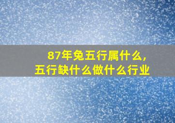 87年兔五行属什么,五行缺什么做什么行业