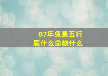 87年兔是五行属什么命缺什么