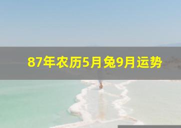 87年农历5月兔9月运势