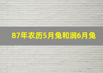 87年农历5月兔和润6月兔