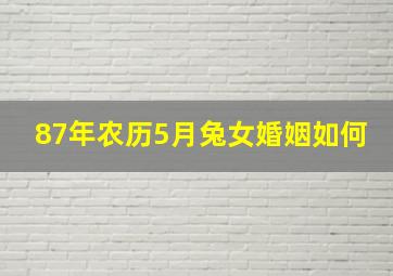 87年农历5月兔女婚姻如何