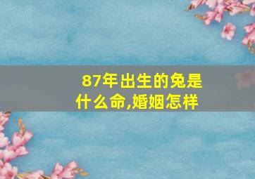 87年出生的兔是什么命,婚姻怎样