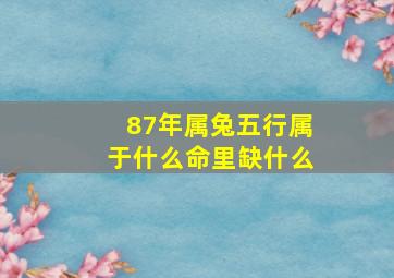 87年属兔五行属于什么命里缺什么