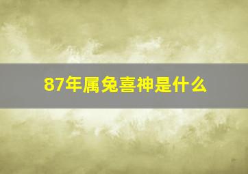 87年属兔喜神是什么