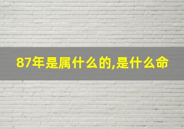 87年是属什么的,是什么命