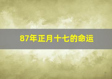 87年正月十七的命运