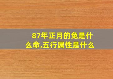 87年正月的兔是什么命,五行属性是什么