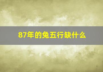 87年的兔五行缺什么