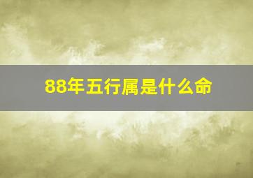 88年五行属是什么命