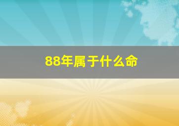 88年属于什么命