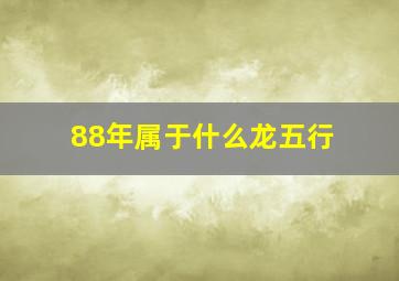 88年属于什么龙五行