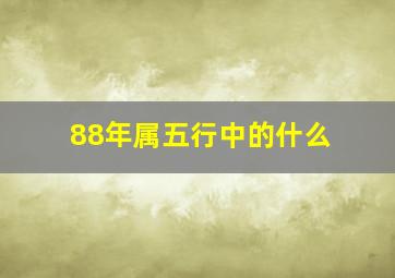 88年属五行中的什么