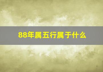 88年属五行属于什么