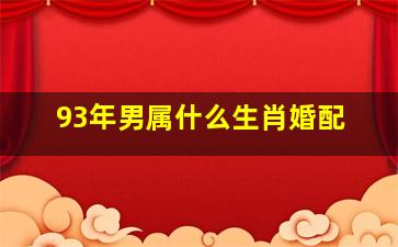 93年男属什么生肖婚配