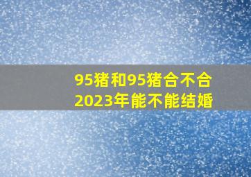 95猪和95猪合不合2023年能不能结婚