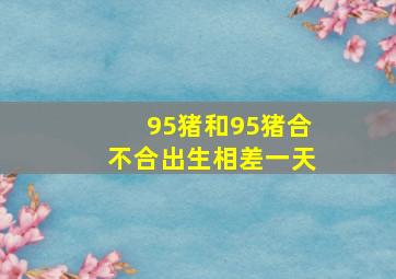 95猪和95猪合不合出生相差一天