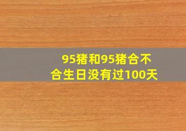 95猪和95猪合不合生日没有过100天