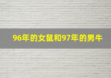 96年的女鼠和97年的男牛