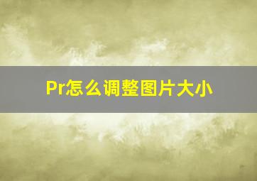 Pr怎么调整图片大小