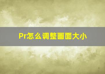 Pr怎么调整画面大小