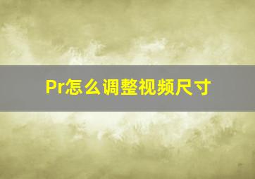 Pr怎么调整视频尺寸