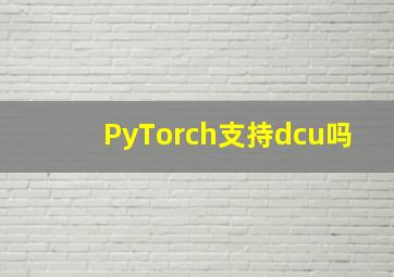 PyTorch支持dcu吗