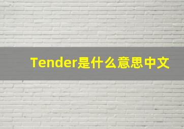 Tender是什么意思中文